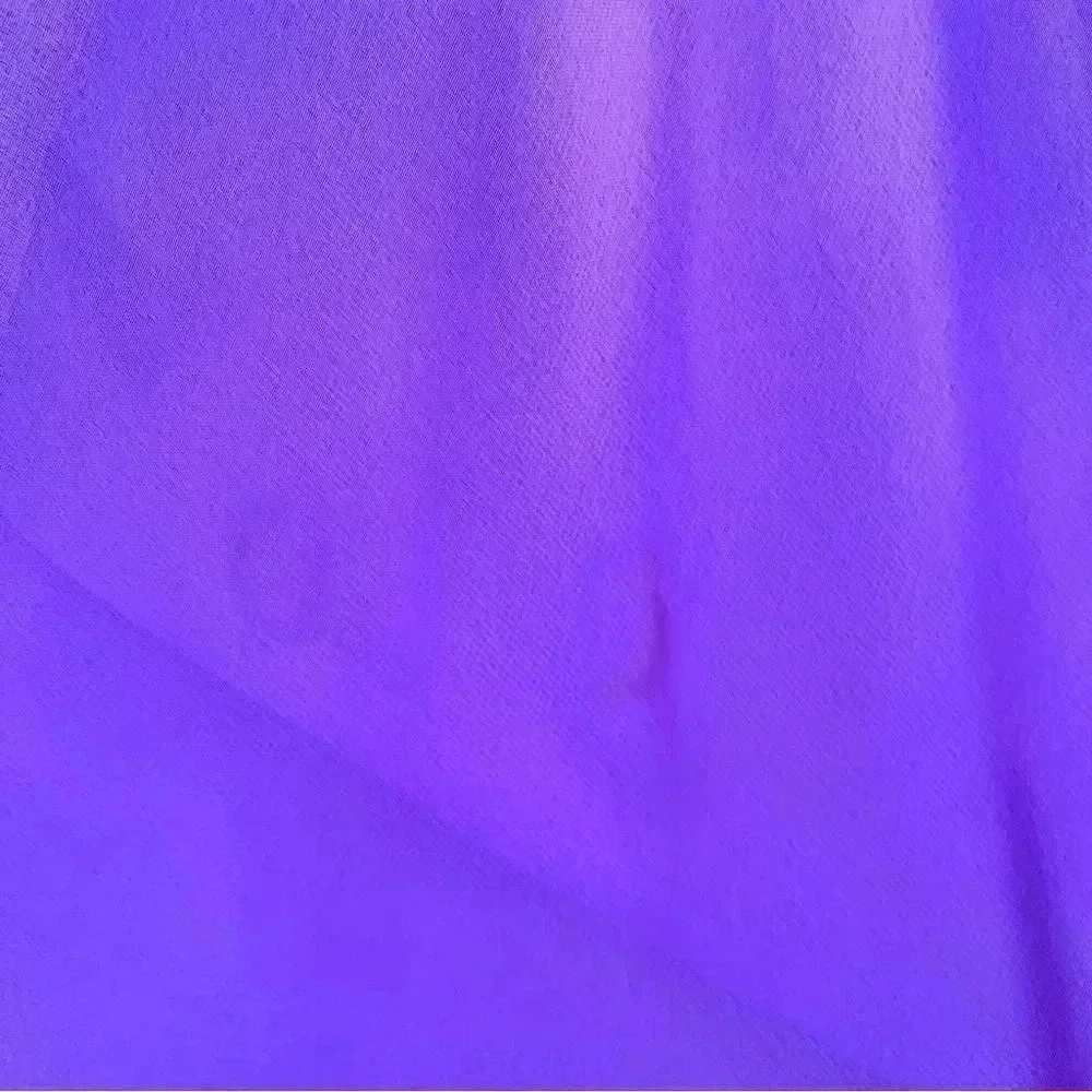Vintage 60s Purple Chiffon Sheer Long Sleeve Pintuck Dress Size 12